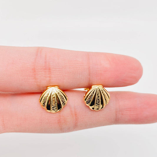 Seashell Earring